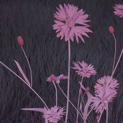 hth·华体育APP手机app下载