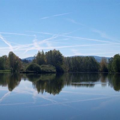 足球游戏手机app下载