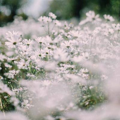 AG旗舰厅app下载