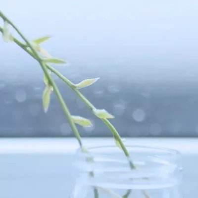 半岛登录入口-登录入口